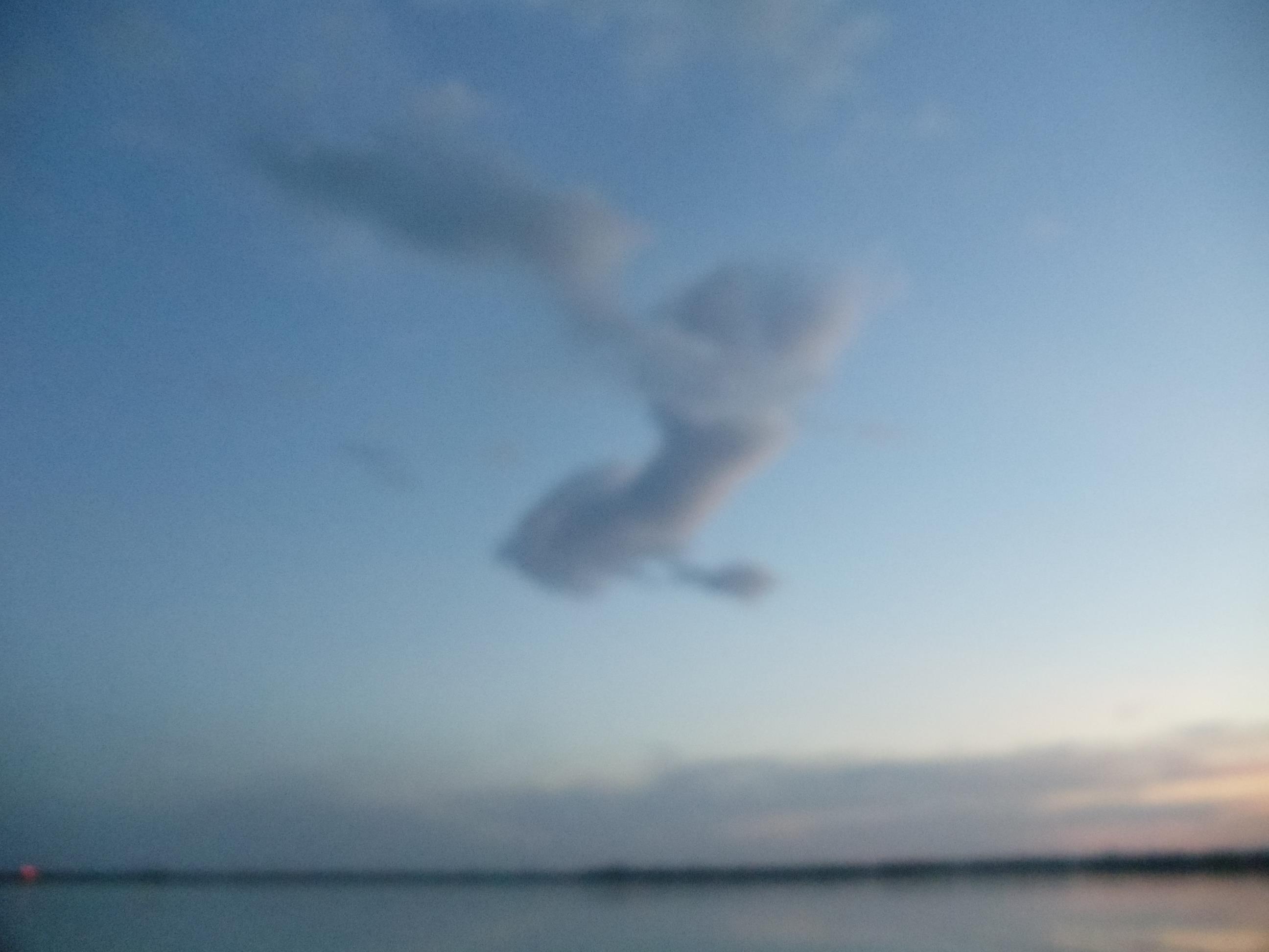 Cupa Primaverii Bunget 2011 - DSC01574.JPG